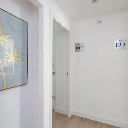 Rhome Vatican روما